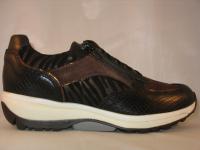 Lucca Black Combi