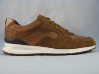 Odysey Cognac
