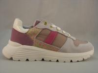 42752 Purple 24-31