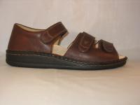 Baltrum Bruin