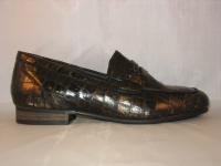 309.003 Combi