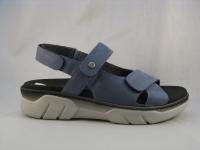 Rapid Blauw